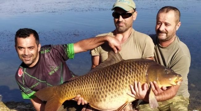 Tam 27,5 ağırlığındaki dev sazan balığı