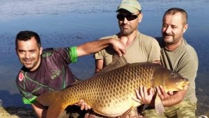 Tam 27,5 ağırlığındaki dev sazan balığı