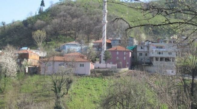 Tarlaya giden genç kız ağaca asılı halde bulundu