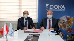 Trabzon'da ata meyveleri ata tohumları ile korunacak