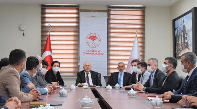 Van'da "Köyümde Yaşamak İçin Bir Sürü Nedenim Var" projesi