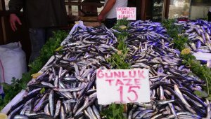 Yerlisi çıktı, kilosu 40 TL'den 15 TL'ye düştü