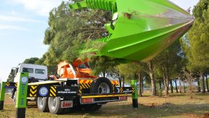 Ağaçlar bu makine ile kesilmekten kurtuluyor