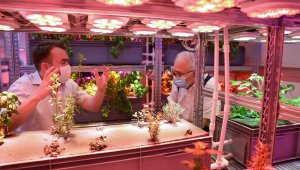 'Akıllı bahçe' Türkiye ikincisi