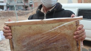 Alaşehir'de bal rekoltesi düştü