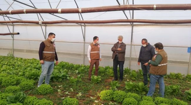 Alaşehir'de seracılık gelişiyor