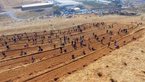 Atatürk'ün sınıf ve silah arkadaşı anısına hatıra ormanı