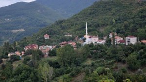 Ayancık'ta bir mahalle karantinaya alındı