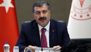 Bakan, üçüncü zirveyi yapan illeri sıraladı