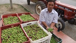 Başkan, "işsizim-açım" diyenlere isyan etti