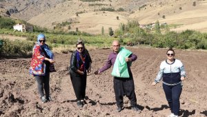 Başkan şalvarını giyip karakılçık buğdayı ekti