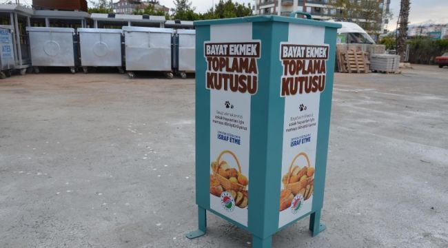 Bayat ekmekler sokak hayvanlarına mama olacak