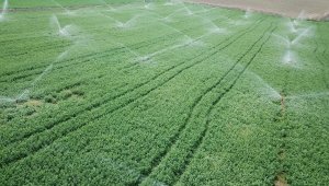 Bilecik'te 2020 yılında 11 bin 700 dekar tarım arazisi sulandı