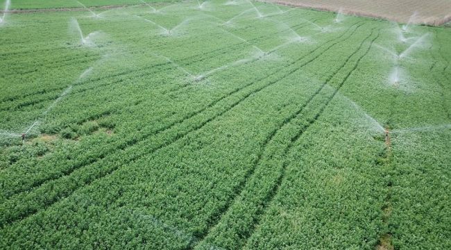 Bilecik'te 2020 yılında 11 bin 700 dekar tarım arazisi sulandı