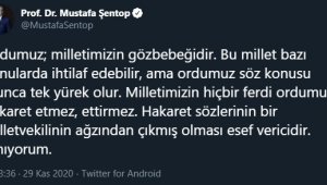 "Bir milletvekilinin ağzından çıkması esef vericidir"