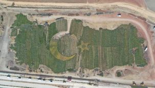 Bitkilerle 'Türkiye haritası'