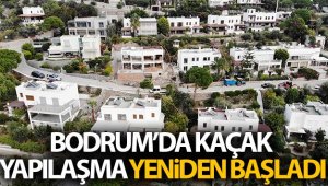 Bodrum'da kaçak yapılaşma yeniden başladı