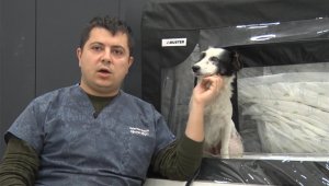 Bunu yapan insan olamaz