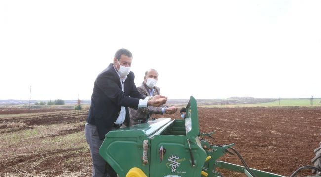 Büyükşehir sertifikalı tohum üretimine devam ediyor