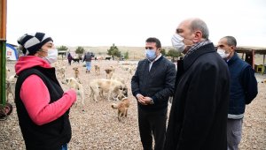 Can dostlar emin ellerde