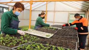 Çankaya'nın parkları rengarenk