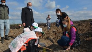 Çavdarhisar, 'Geleceğe nefes' için fidan dikti