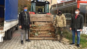 Demirkzöy'de ahududu fidanları dağıtıldı