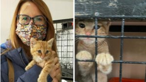 Depremden kurtarılan can dostlar sahiplendiriliyor