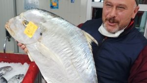 Dev İskender balığı görenleri şaşkına cevirdi