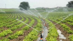 Diyarbakır'da 500 bin dekar tarım arazisi sulandı