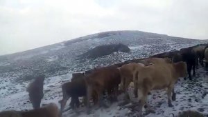 Doğu'da yüksek kesimlerde kar yağışı etkili oldu