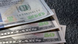 Dolar yeni tarihi zirvesinde