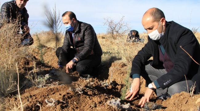 Elazığ'da eğitimciler fidan dikti