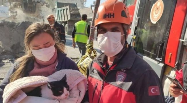 Enkazdan biri hamile dört kedi kurtarıldı