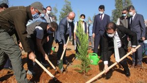 Fethiye'de "Geleceğe Nefes" olacak fidanlar toprakla buluştu