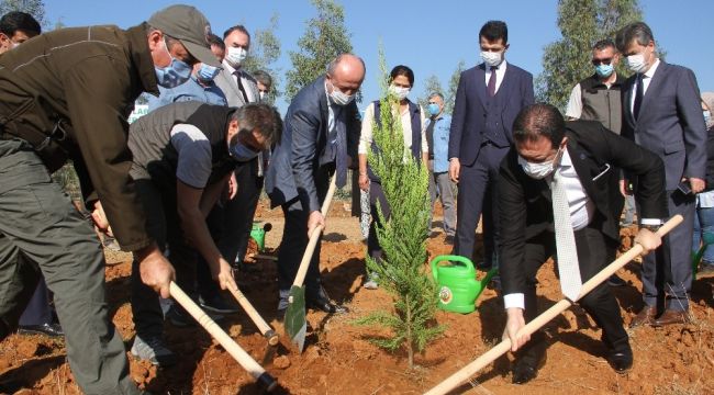 Fethiye'de "Geleceğe Nefes" olacak fidanlar toprakla buluştu