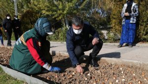 Gölbaşı lalelerle renklenecek