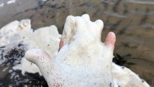 Gölde ürküten görüntü!