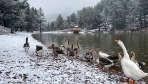 Gümüşhane'nin beyaz cenneti: Limni Gölü