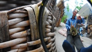 Hayıt ve kargı dallarından yapılan sepetler plastik kovalara direniyor