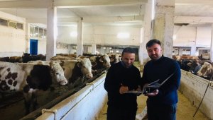 'Hayvan Bakım Oteli' talebe yetişemiyor