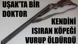 İçti içti, kendisini ısıran köpeği hatırladı, gidip vurdu