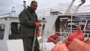 İnci kefalinin av sezonu başladı