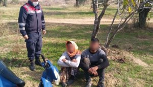 İncir sezonu bitti, şimdi zeytine dadandılar