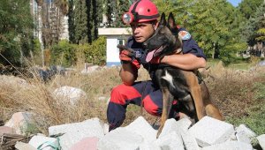 İnsan dostu köpekler zor günler için eğitiliyor
