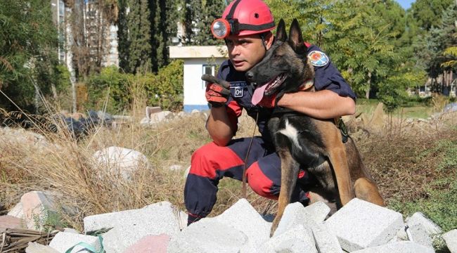 İnsan dostu köpekler zor günler için eğitiliyor