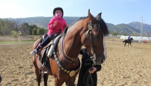 Isparta'da atla terapi 4 yaşındaki engelli Ekin'e şifa oluyor