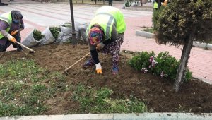 İvrindi'de meydanlar bu kış çiçekler açacak