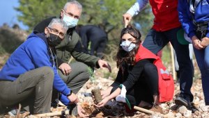 İzmir'de 30 noktada 20 bin fidan toprakla buluştu