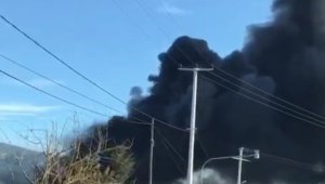 İzmir'de mesire alanında bulunan restoranda yangın